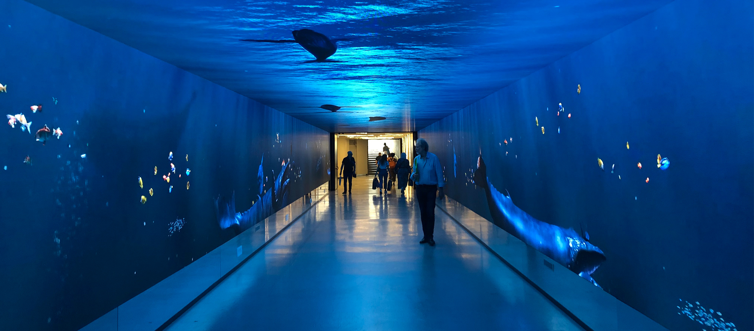 Videomobile_TheGallery_Header