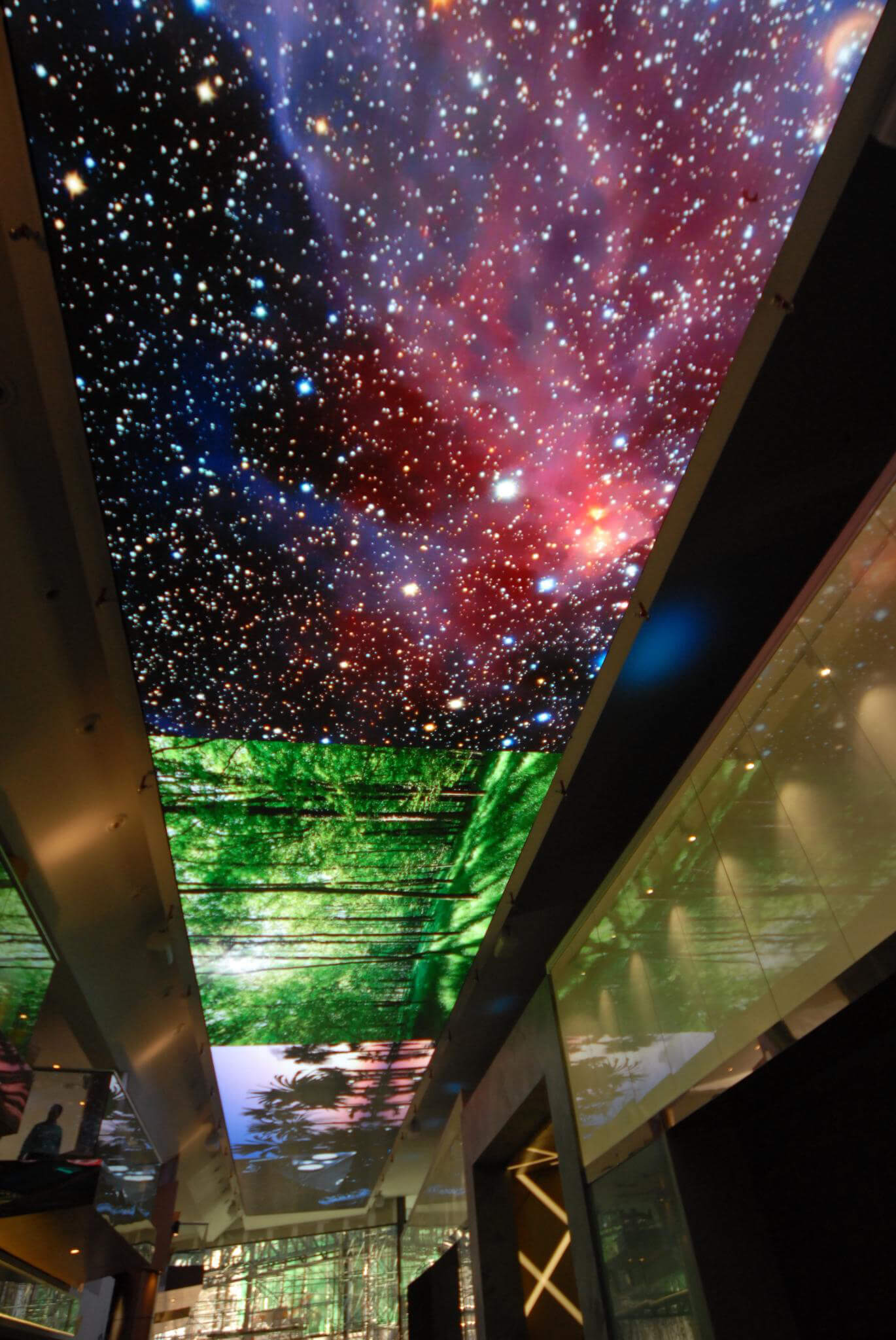 always-look-up-and-dream_02